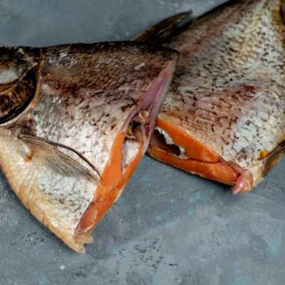 fishmo-k-pivu Свежие морепродукты, первоклассная икра и грузинские вина в самом сердце Карловых Вар