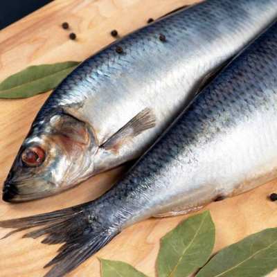 fishmo-ryby Свежие морепродукты, первоклассная икра и грузинские вина в самом сердце Карловых Вар